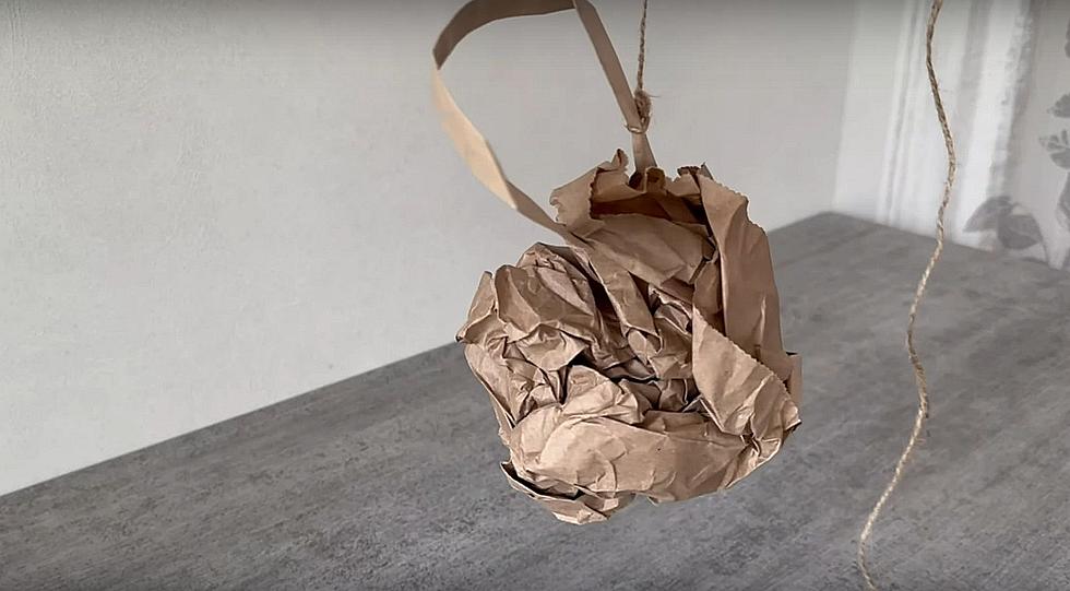 Louisiana Residents Keeping Wasps Away With Paper Bags