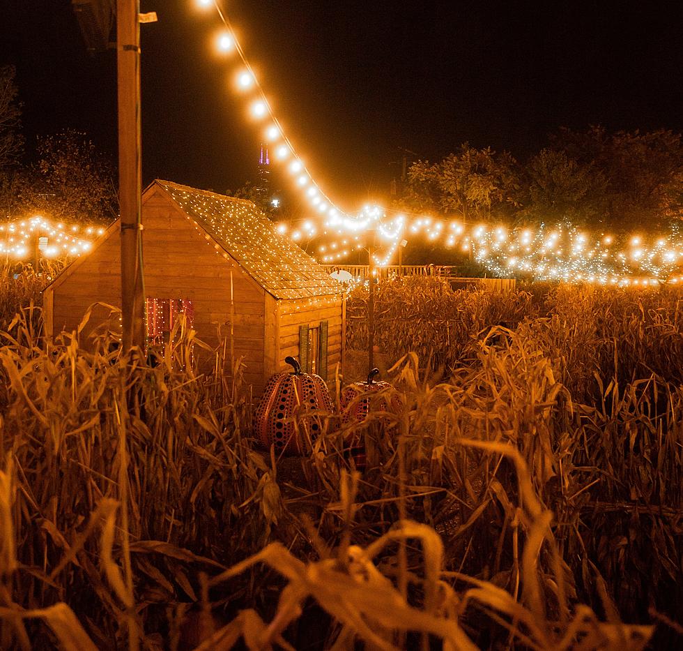 Best Corn Mazes in Louisiana