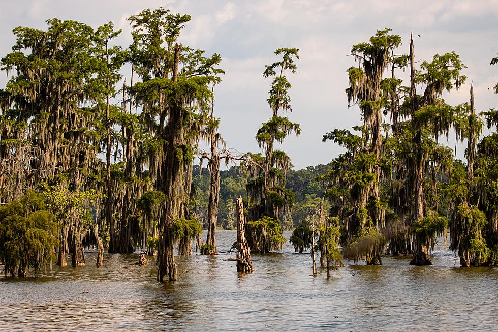 6 Facts You Didn’t Know About Louisiana
