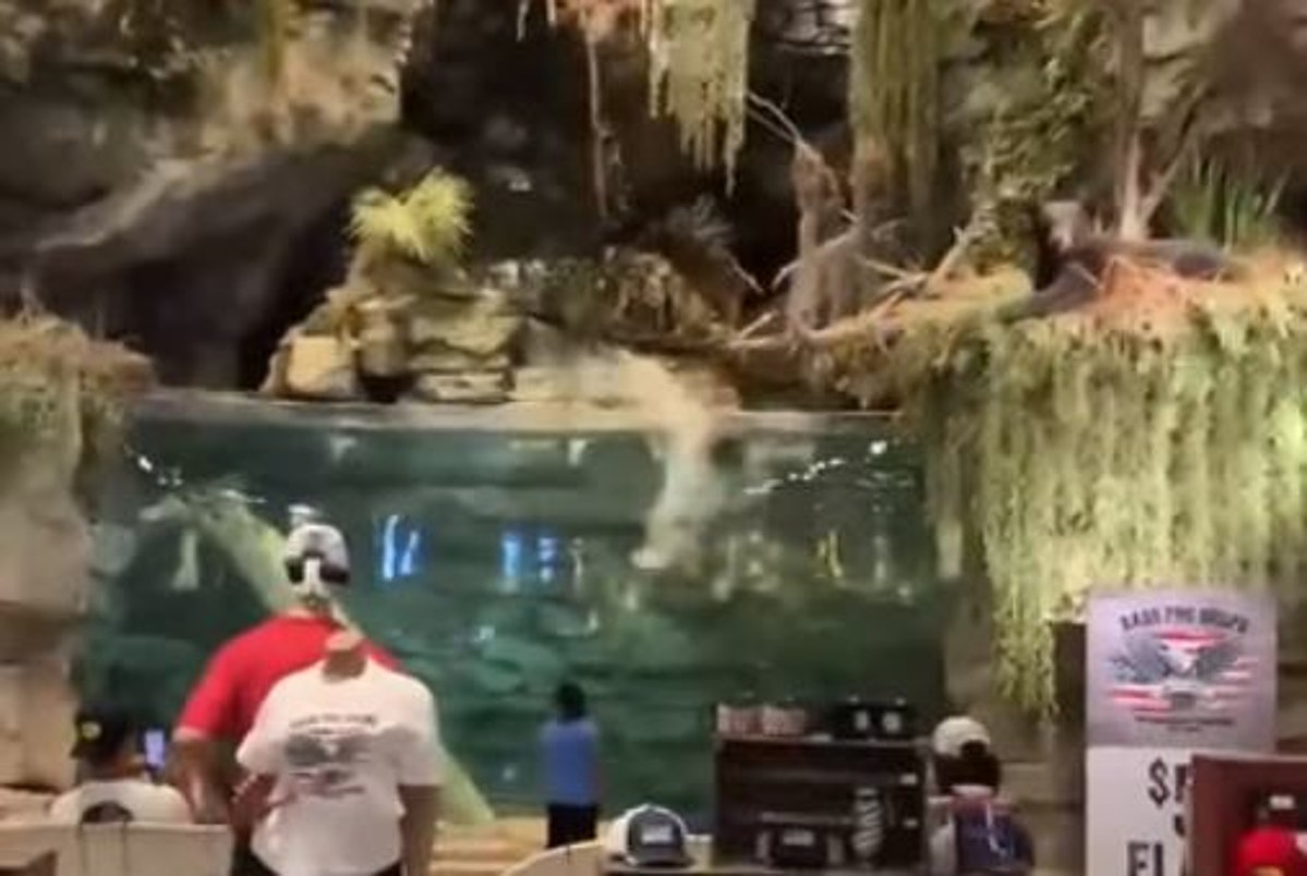 Naked Man Jumps Into Bass Pro Shops Aquarium, Knocks Himself Out