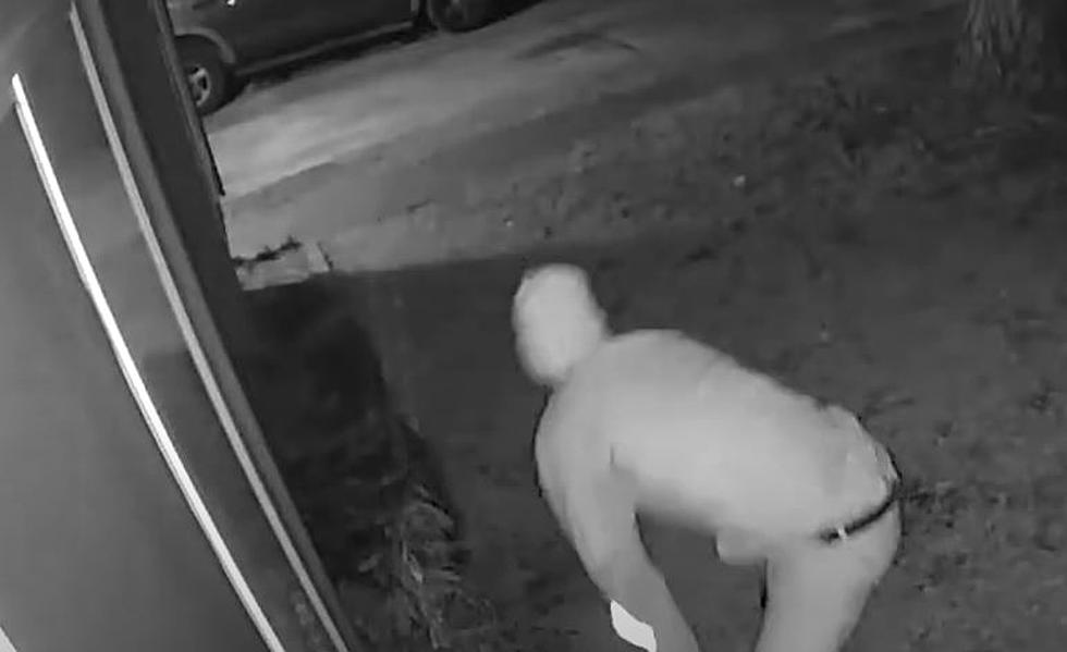Louisiana 'Peeping Tom' Caught on Camera - Can You Identify Him?