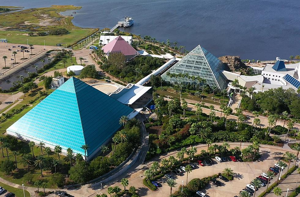 Enter to Win a Moody Gardens Spring Getaway for Your Family