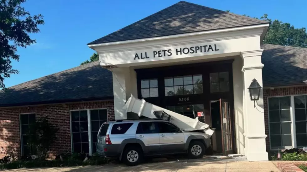 SUV Crashes Into Louisiana Animal Hospital