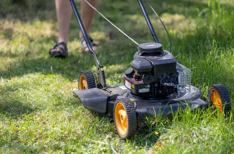 Cutting Your Louisiana Lawn This Weekend? Know Before You Mow
