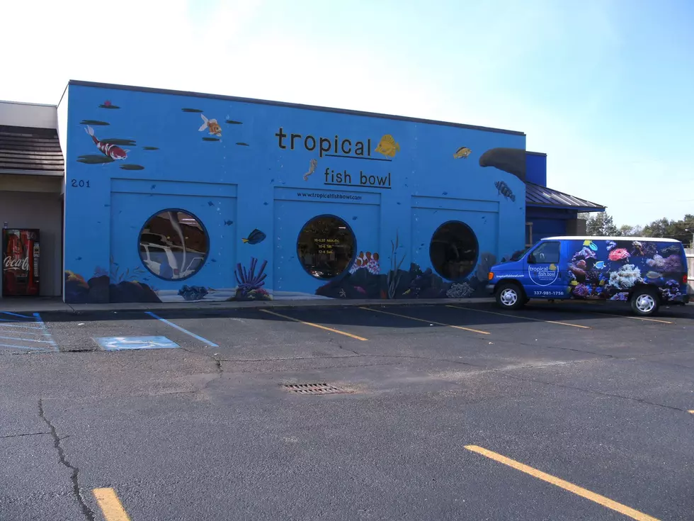 Tropical Fish Bowl in Lafayette to Close Down 
