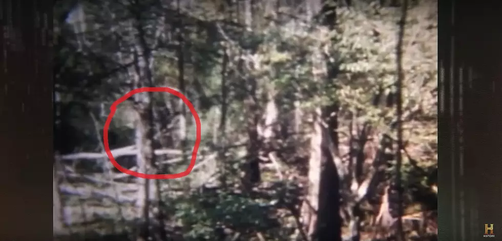 Honey Island Swamp Monster