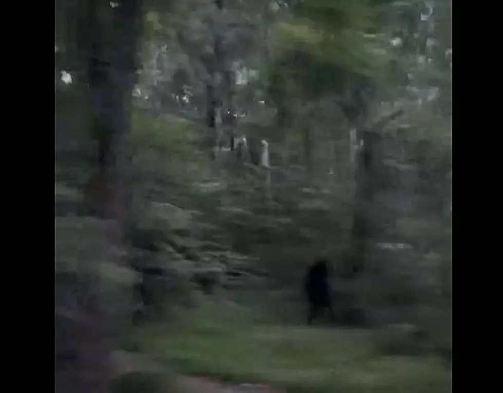 New Viral TikTok Bigfoot Video Has Millions Talking