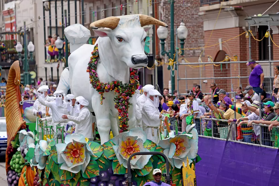 12 Times Size Matters in Louisiana -What's Big in the Boot