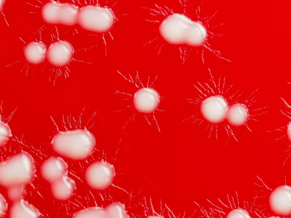 Louisiana Health Officials Confirm Rare Brain-Eating Amoeba