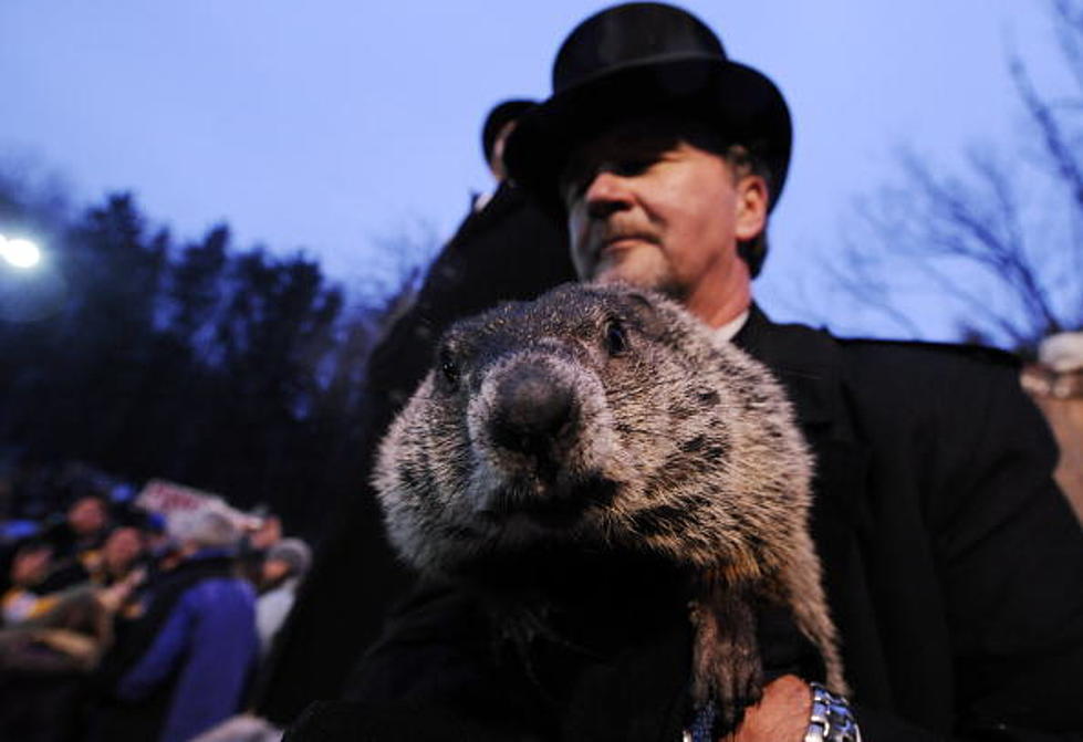 What’s The Deal With Ground Hog Day?