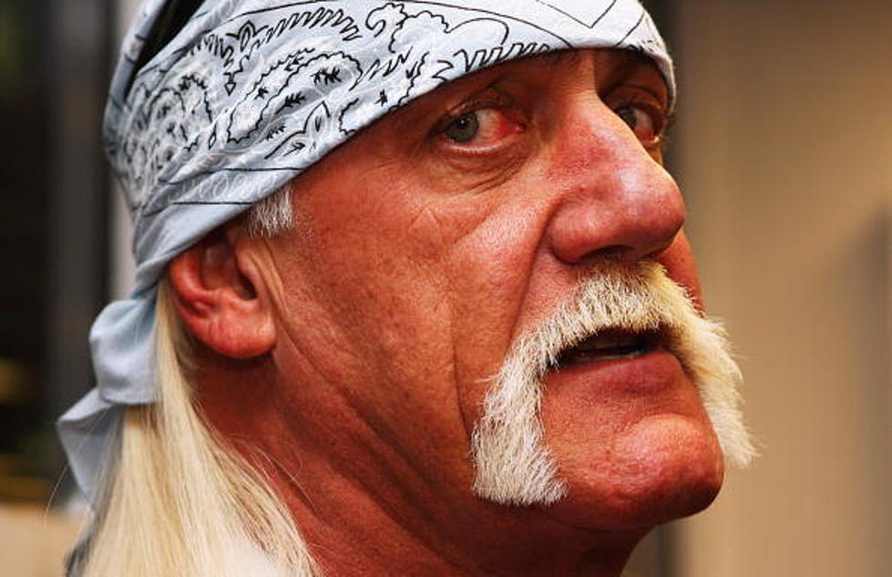 Hulk Hogan Taking ‘The Ultimate Warrior’ To Court Over On-Line Allegations [VIDEO]