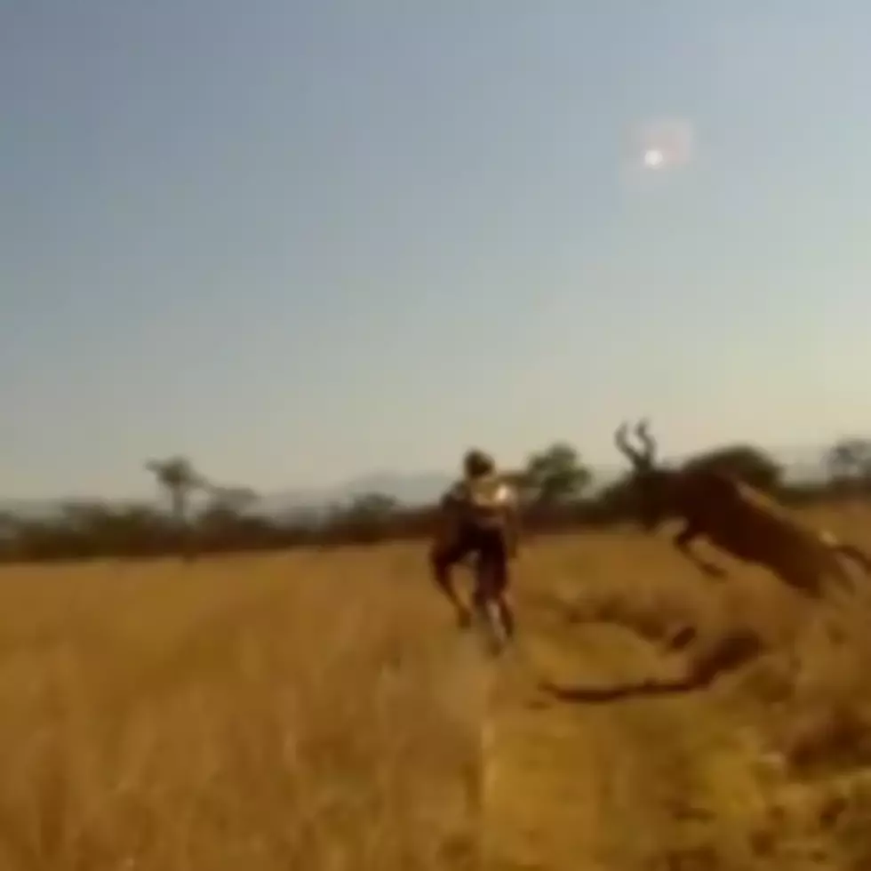 Mountain Biker Gets Taken Out By Wild Buck [VIDEO]
