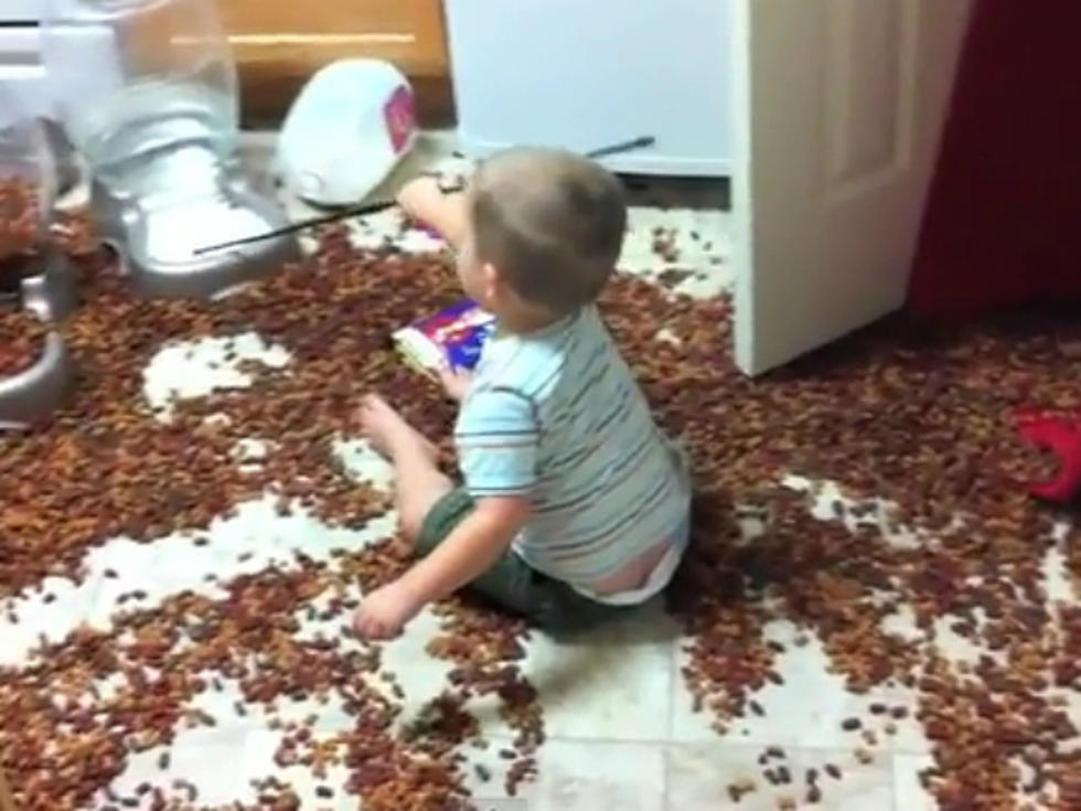 Unruly Kid Turns Kitchen Into Giant Dog Food Bowl [VIDEO]