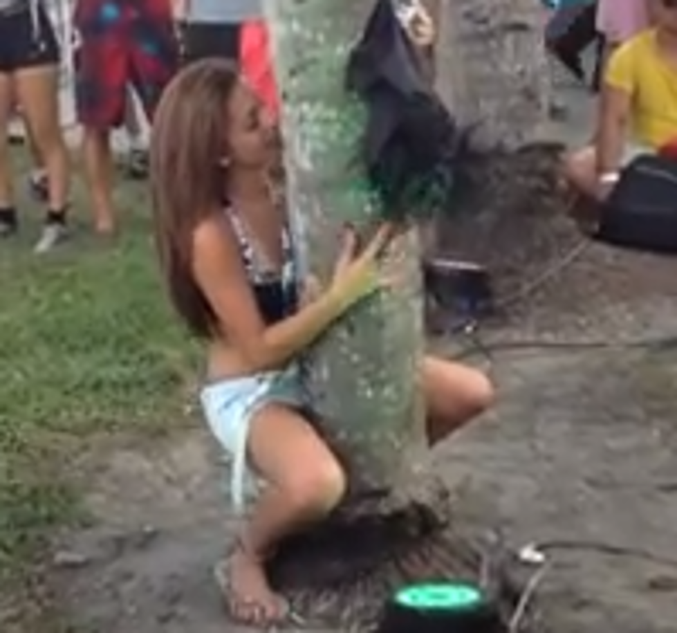 Is It Drugs, Or A Strange Addiction? Girl Humps Tree At Ultra Music Festival [VIDEO]