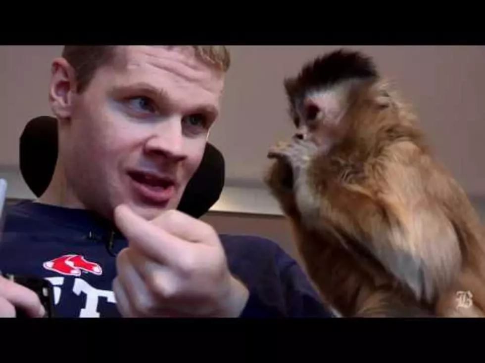 Monkey Assists Paralyzed Man [VIDEO]