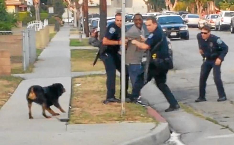 Police Shoot, Kill Dog During Arrest Of Owner [GRAPHIC VIDEO]