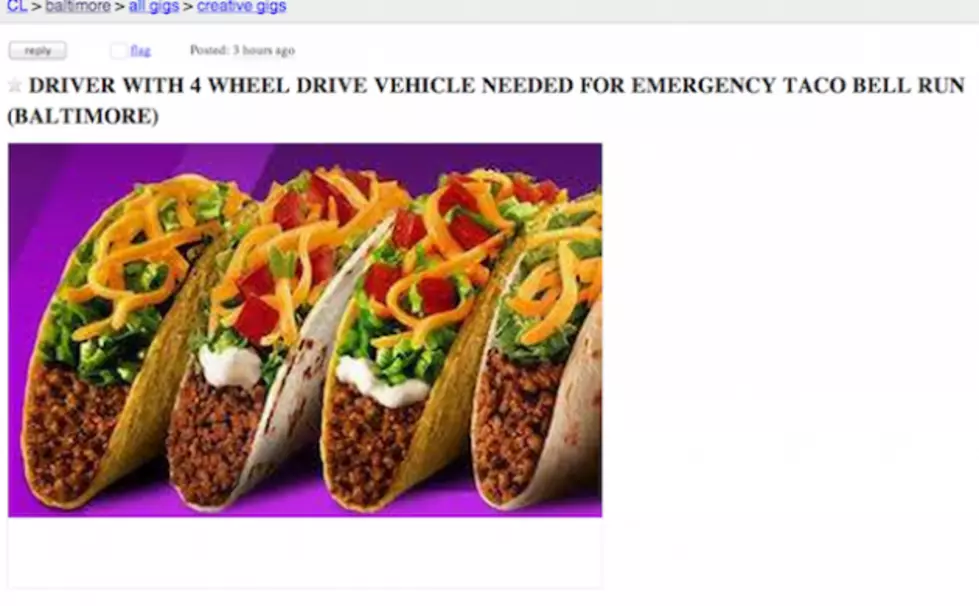 Snowed In Drunk Guy Pleads For Taco Bell On Craigslist