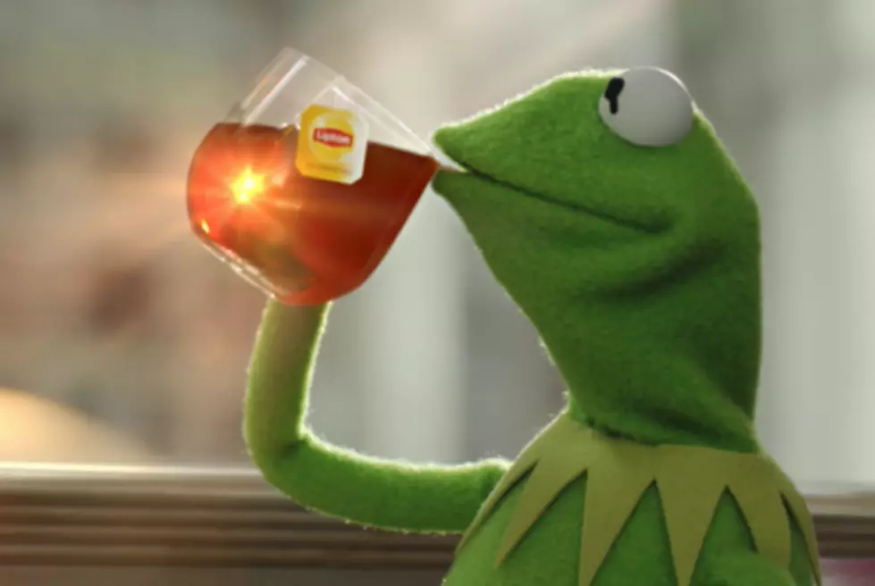 Kermit The Frog Stars In Hilarious New Internet Meme [PHOTOS]