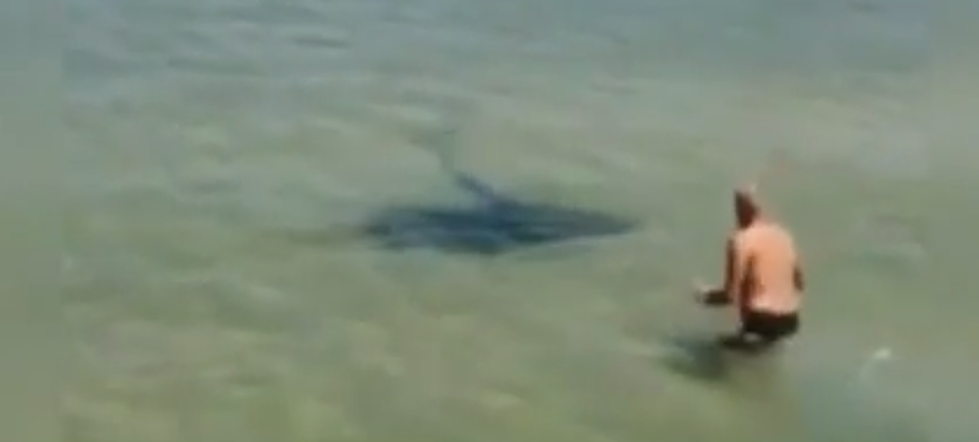 Man Being Attacked By Huge Stingray, Real Or Fake? [VIDEO]
