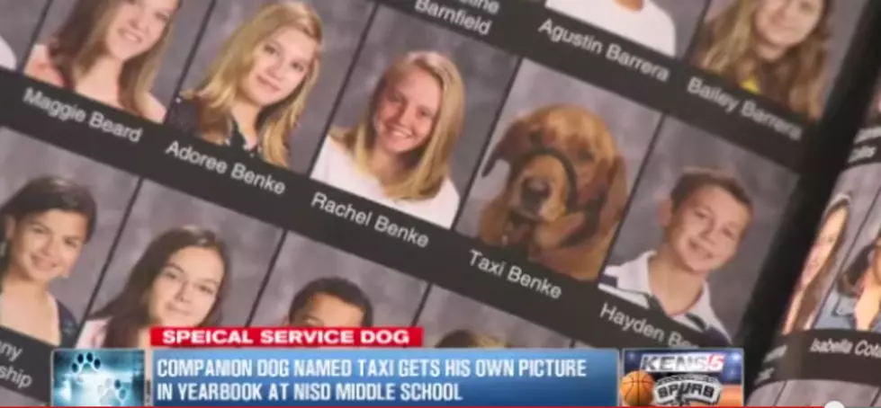 Service Dog Gets Its Own Yearbook Picture In Seventh Grade Yearbook [VIDEO]