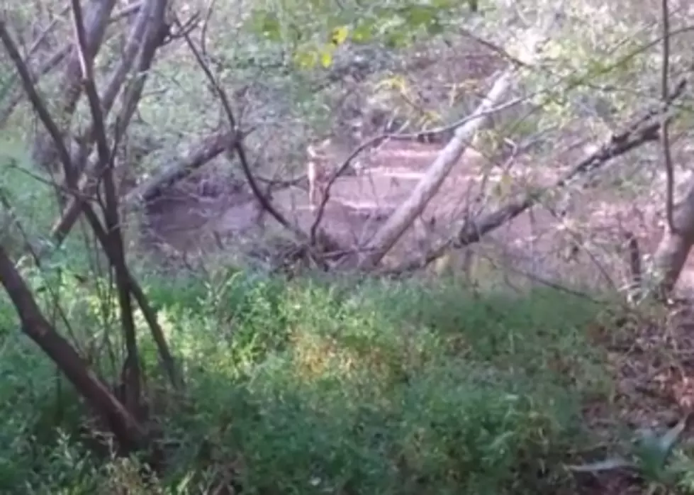 Hunter Stumbles Across Naked Man In Woods [VIDEO]