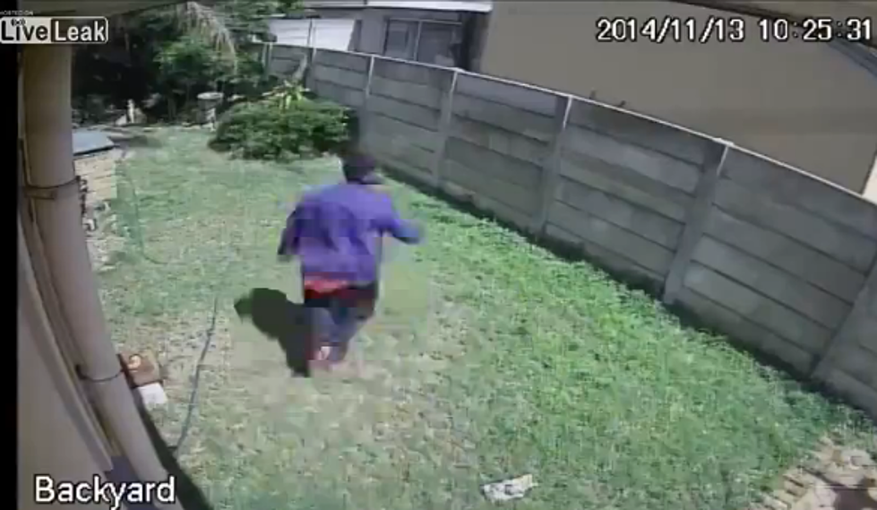 Small Guard Dog Chases Off Would-Be Robber [VIDEO]