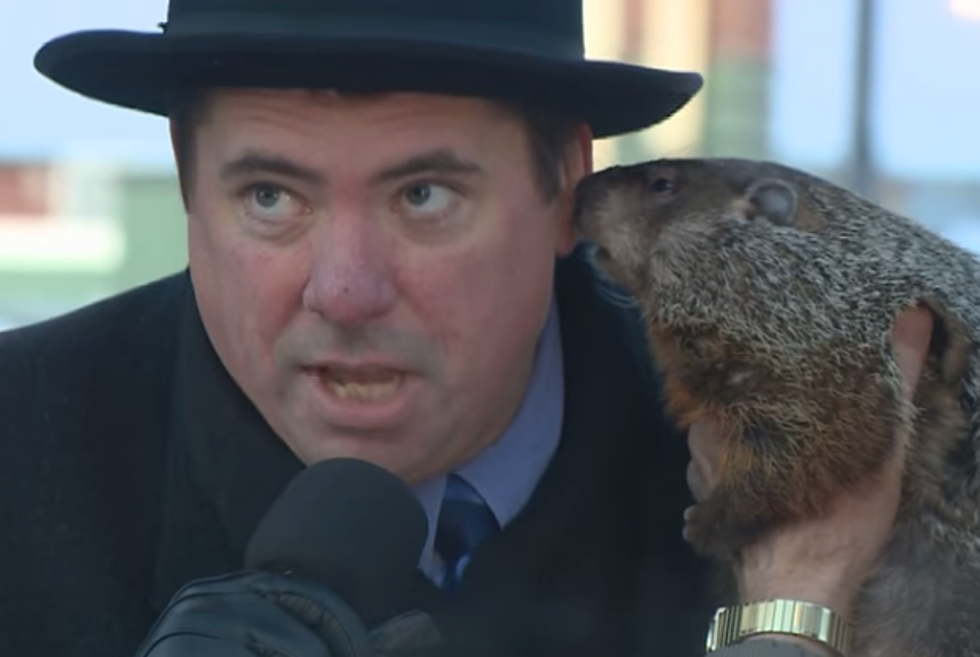 Jimmy The Groundhog Bites Mayor’s Ear [VIDEO]