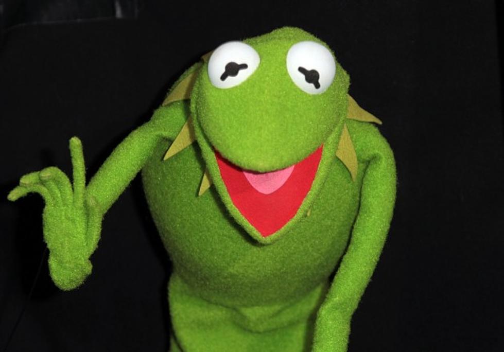 Real Life Kermit The Frog Discovered In Costa Rica