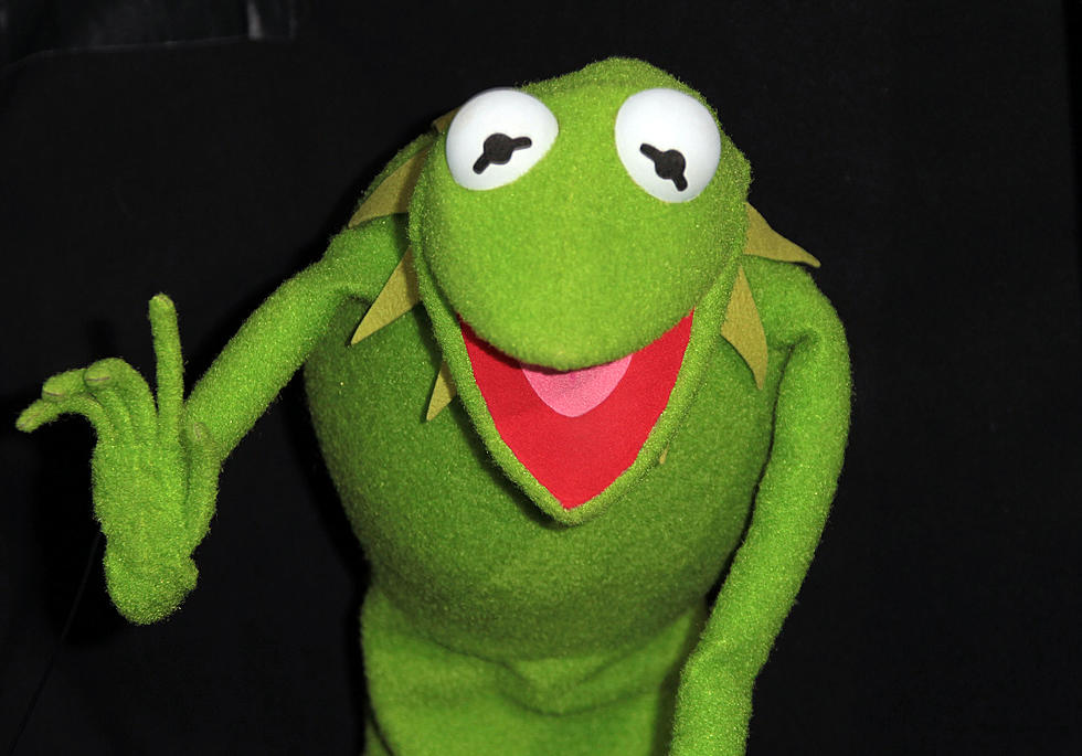 Real Life Kermit The Frog