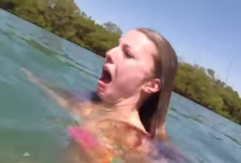 Girl Goes Crazy When A Huge Manatee Swims Past Her [VIDEO]