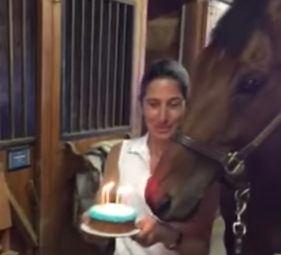 Horse Blows Out His Birthday Candles [VIDEO]