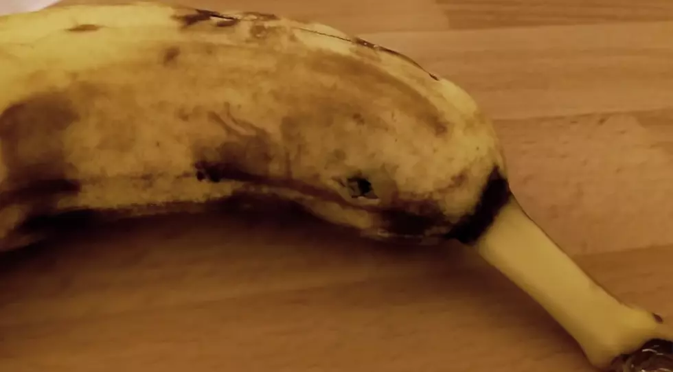 Watch As A Spider Eats Its Way Out Of A Store Bought Banana [VIDEO]