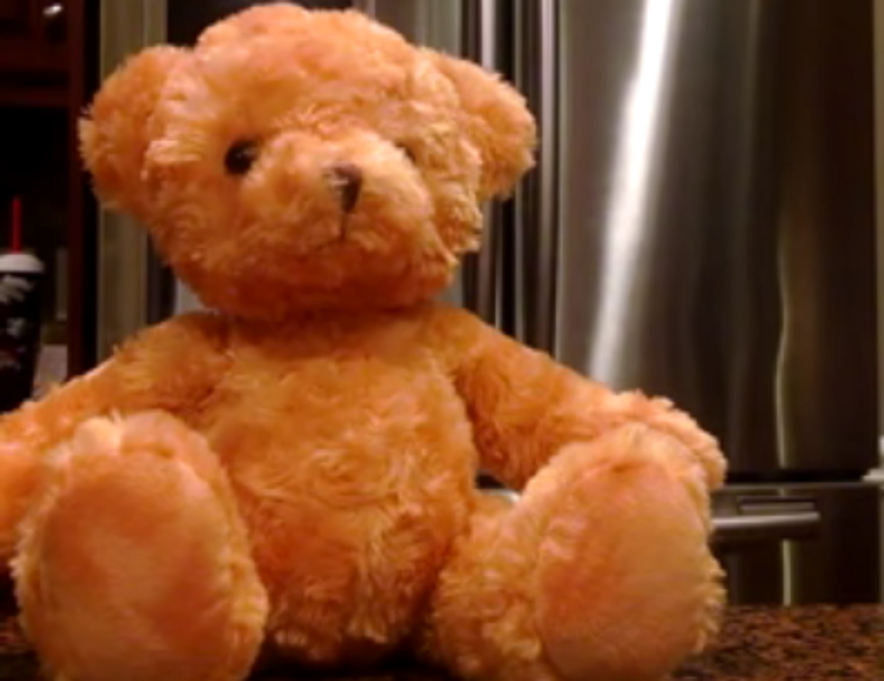 The New Teddy Bear That Won’t Stop Singing [VIDEO]