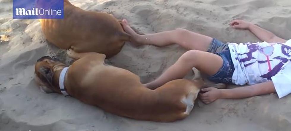 Why You Never Wake Up A Sleeping Dog [VIDEO]
