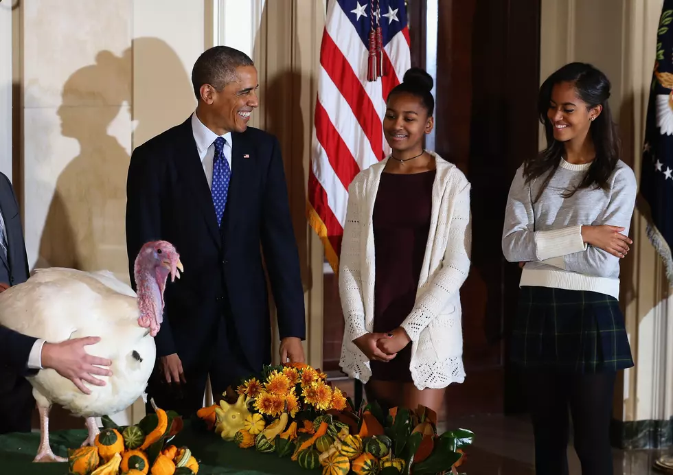 President Obama Pardons Thanksgiving Turkey At White House [VIDEO]