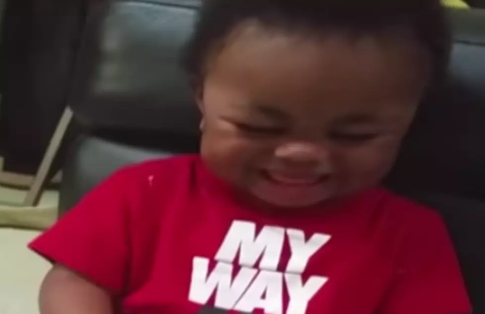 Baby Can&#8217;t Stop Laughing At The Word Donkey [VIDEO]