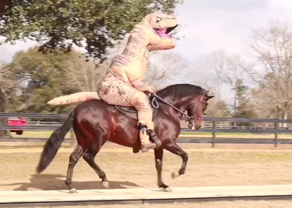 Guy In T-Rex Costume Rides On Prancing Horse [VIDEO]