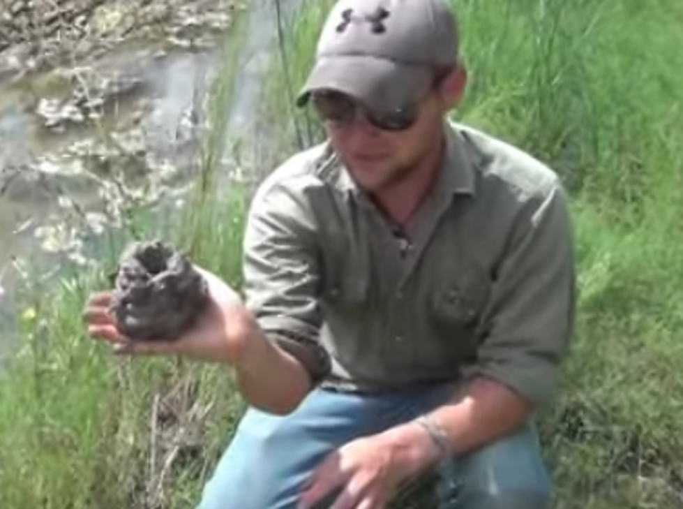 How To Dig Up A Crawfish From It’s Hole [VIDEO]