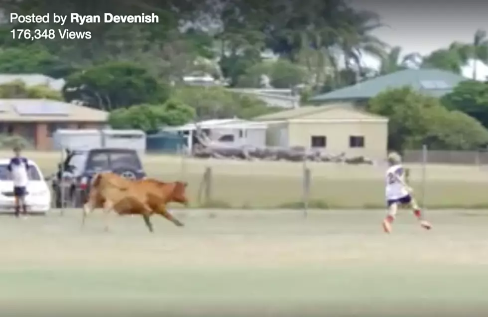 Bull Disrupts Boys’ Soccer Match, Charges At Kid [VIDEO]