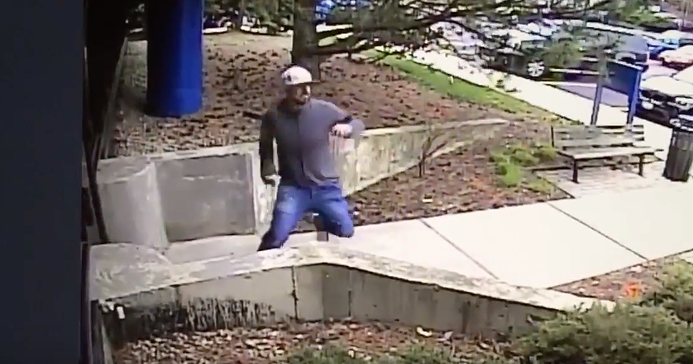 Man Attacked By Mother Goose On His Way Into Work [VIDEO]