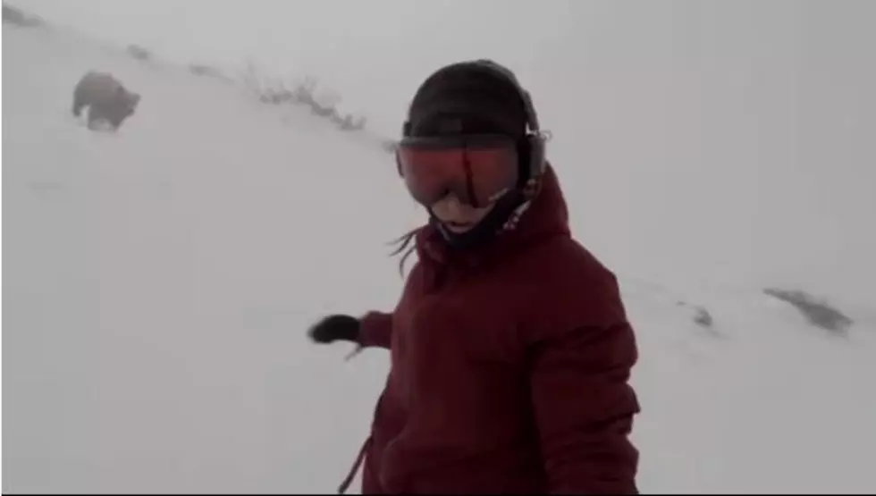 Snowboarding Girl Singing Rihanna’s  ‘WORK’ Had No Idea There Was A Bear Chasing Her [VIDEO]