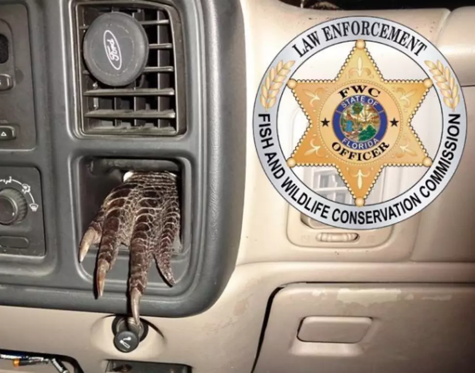 Officers Find Alligator Foot Sticking Out Of Truck Dashboard [PHOTO]