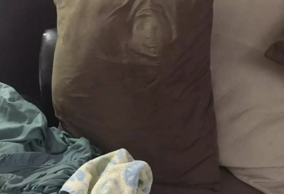 Do You See The Face In This Pillow? [PHOTOS]
