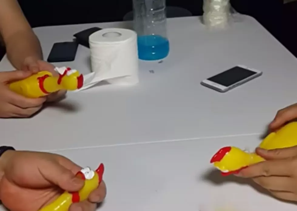 They Made An EDM Song Using Rubber Chickens [VIDEO]