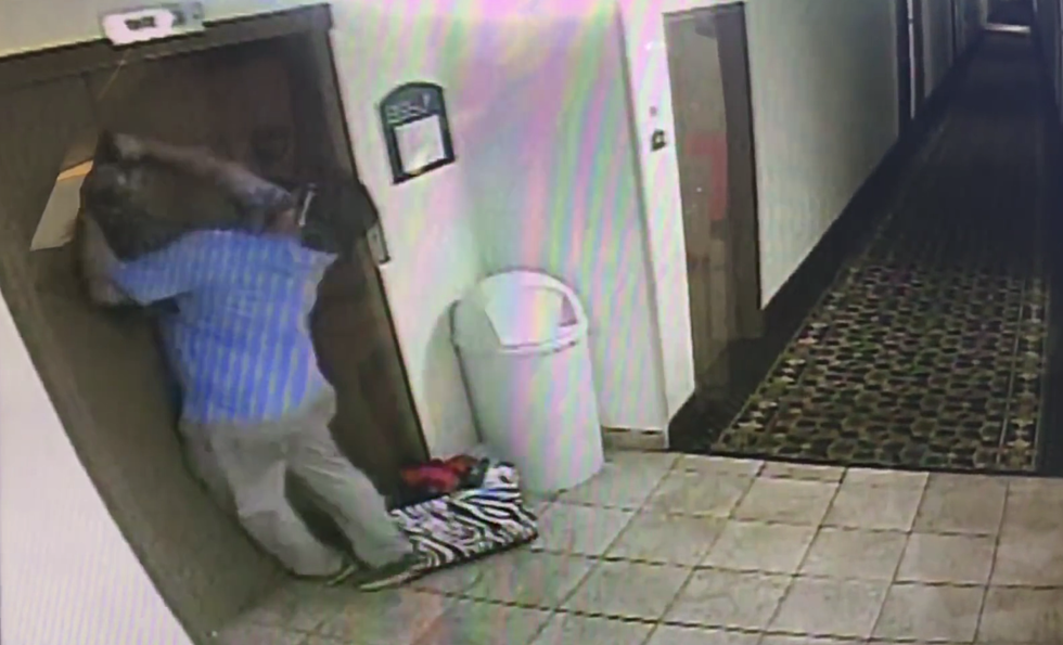 Quick-Thinking Hotel Manager Saves Dog From Elevator [VIDEO]