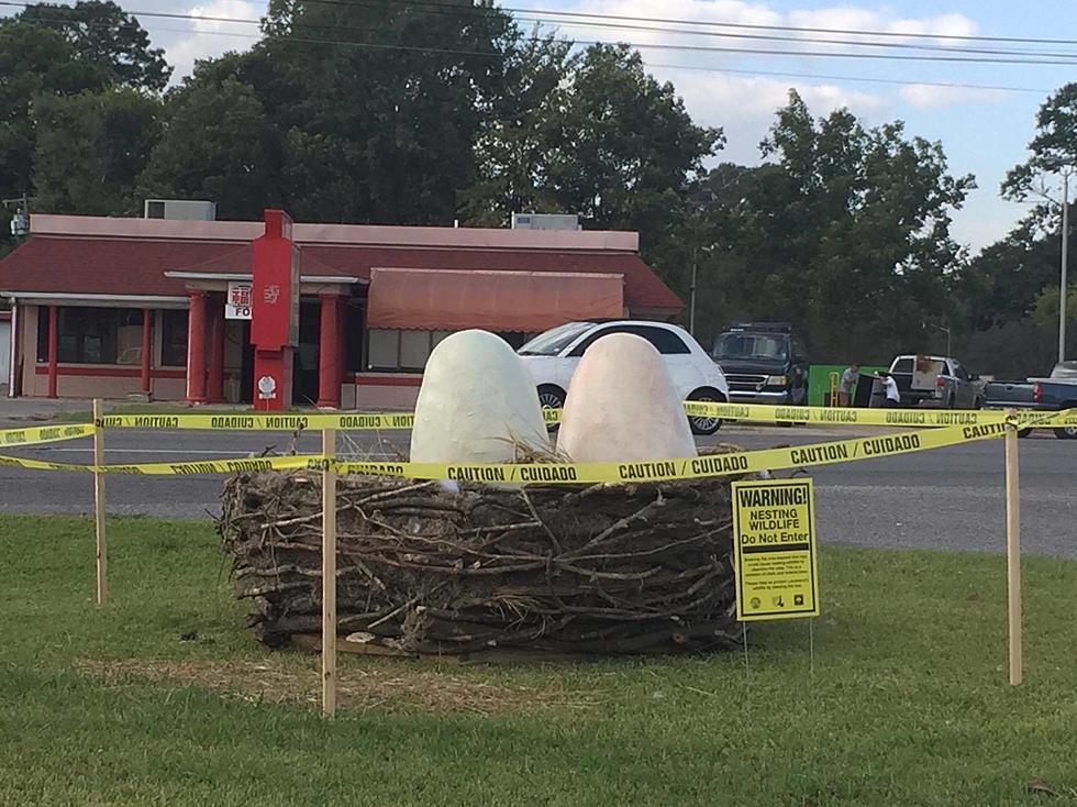 What’s Up With The Huge Eggs On Johnston Street? [PHOTO]