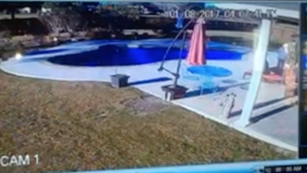 Lafayette Woman Jumps Into Freezing Pool To Save Parents Puppy [VIDEO]