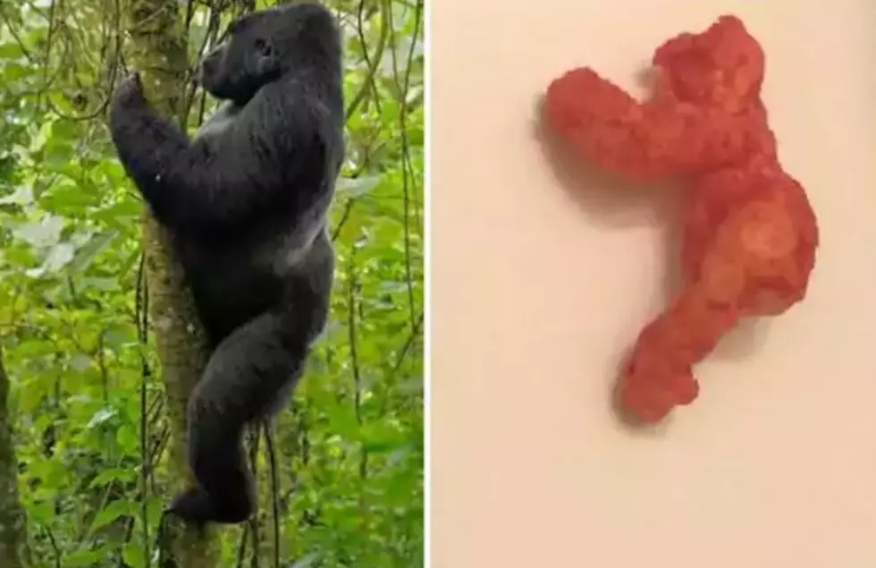 You Won’t Believe How High The Bids Got On eBay For This Harambe-Shaped Cheeto