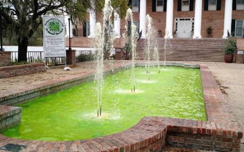 New Iberia City Hall Dyes Fountain Green