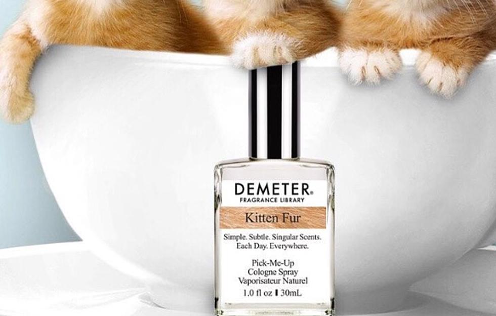 Kitten Fur Scented Perfume Is A Thing
